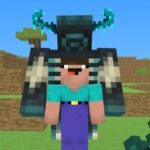 BlockCraft Le Chéile